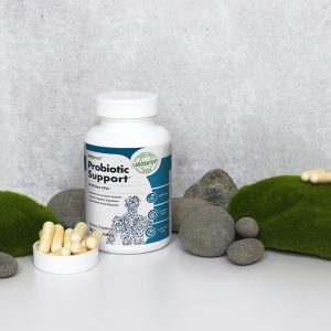 Probiotic Support Review: Nurturing Your Gut for a Healthier You