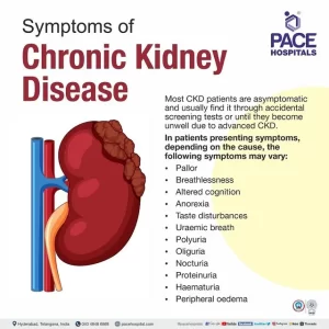 Chronic Kidney Disease Solution (CKD) Reviews: Navigating a Holistic Approach to Kidney Health